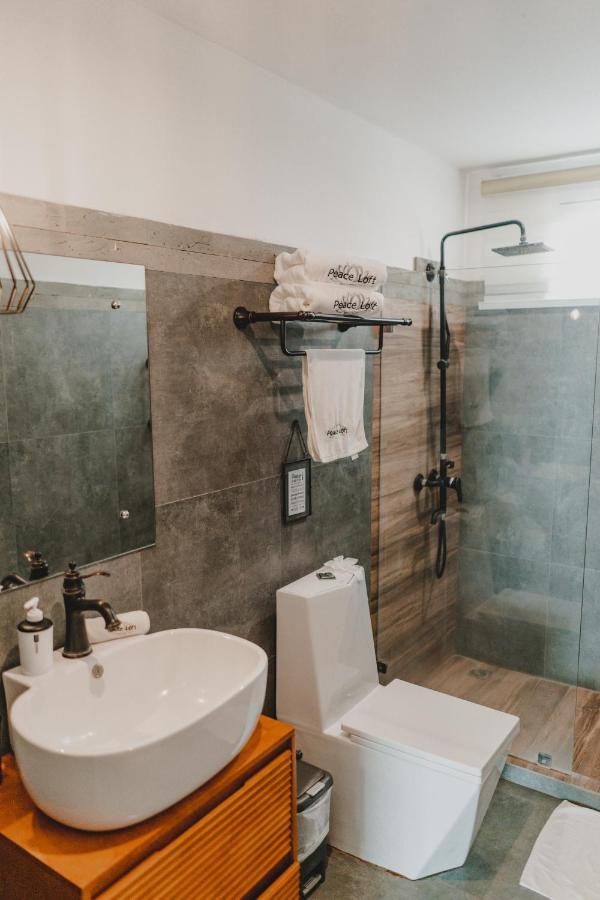 Peace Lofts And Apartments Playa Santa Teresa  Luaran gambar